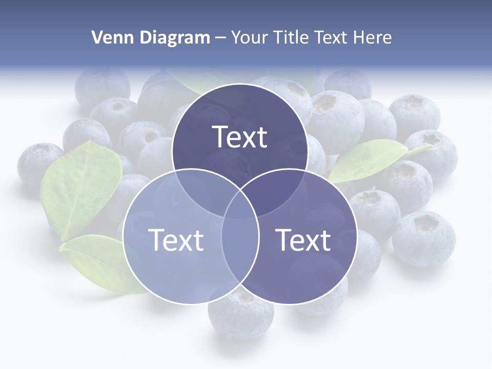 Blue Berry PowerPoint Template