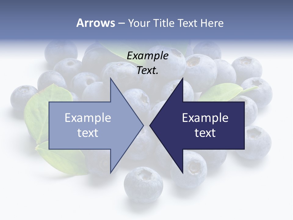 Blue Berry PowerPoint Template