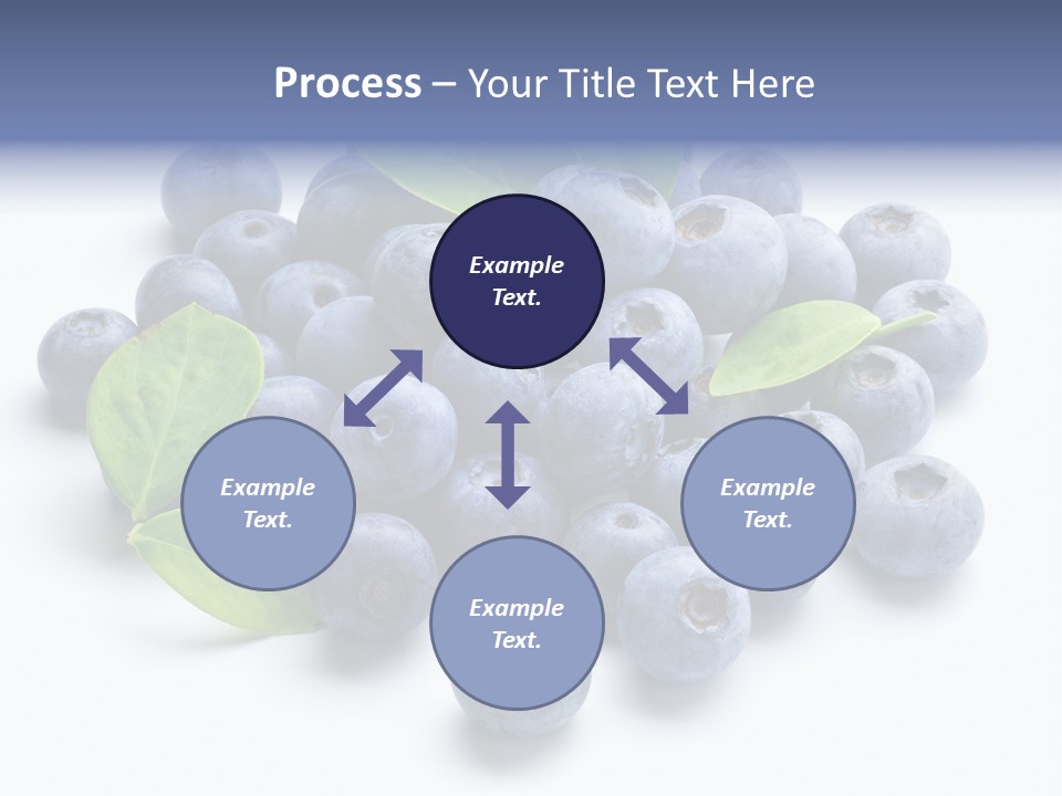 Blue Berry PowerPoint Template