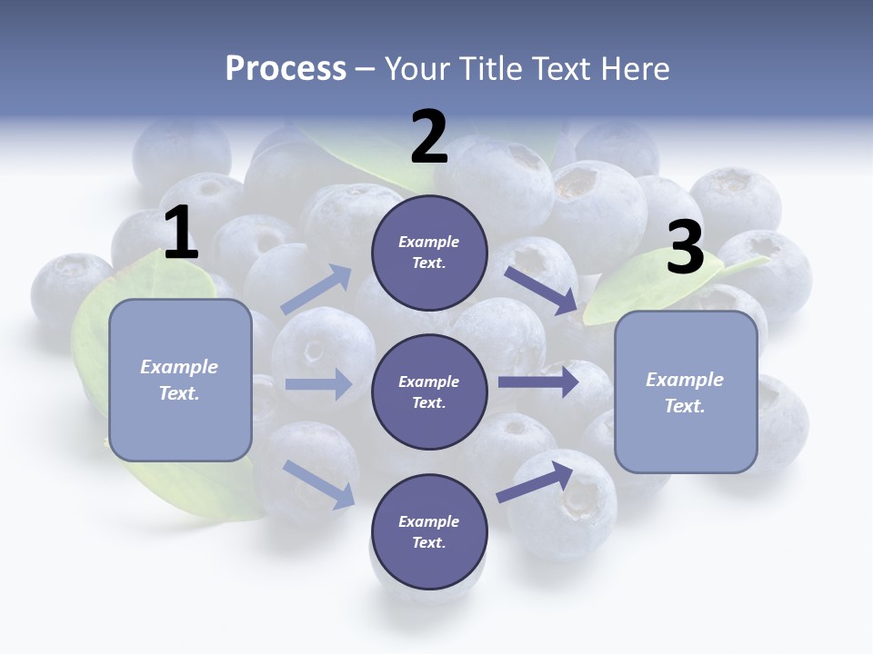 Blue Berry PowerPoint Template