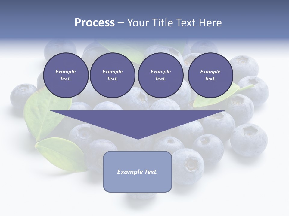 Blue Berry PowerPoint Template