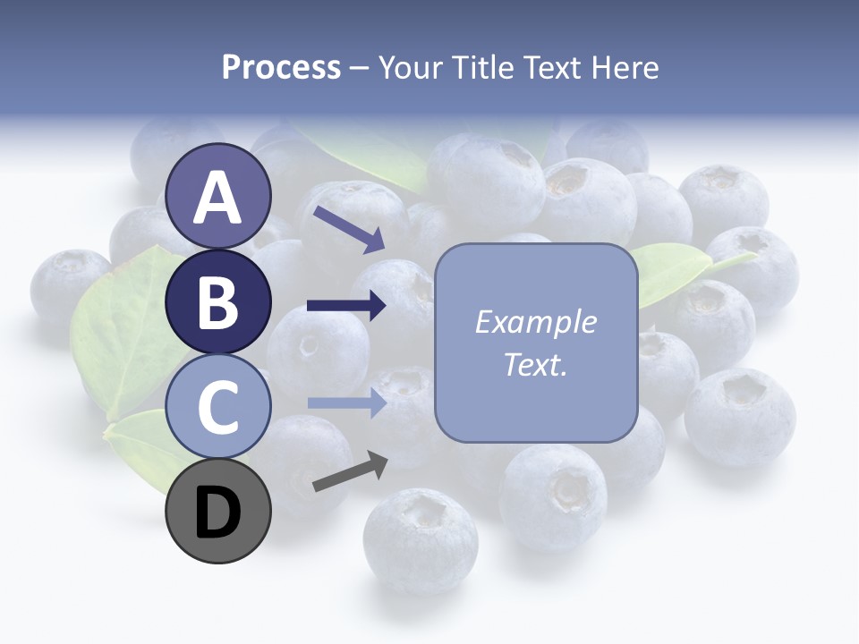 Blue Berry PowerPoint Template