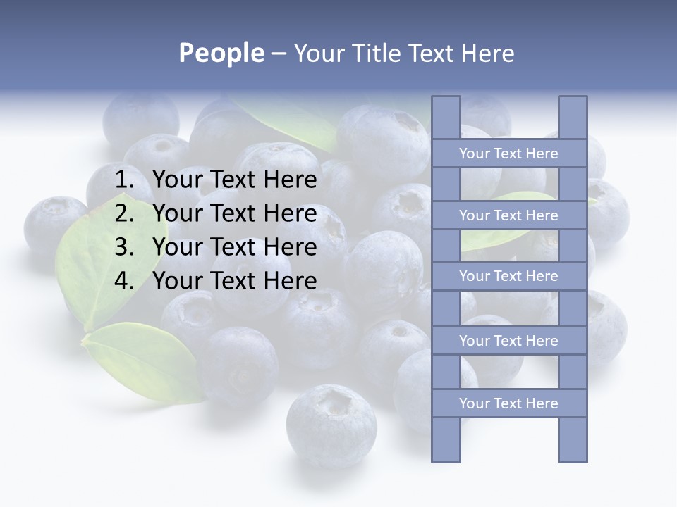 Blue Berry PowerPoint Template