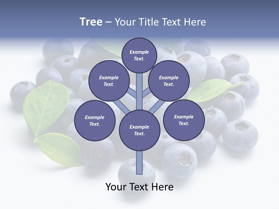 Blue Berry PowerPoint Template