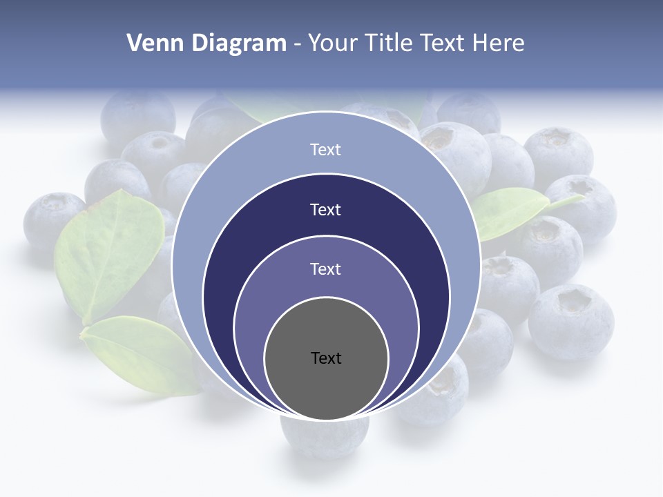 Blue Berry PowerPoint Template