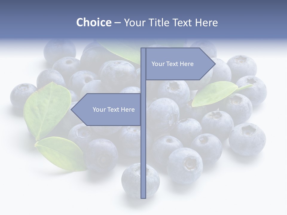 Blue Berry PowerPoint Template
