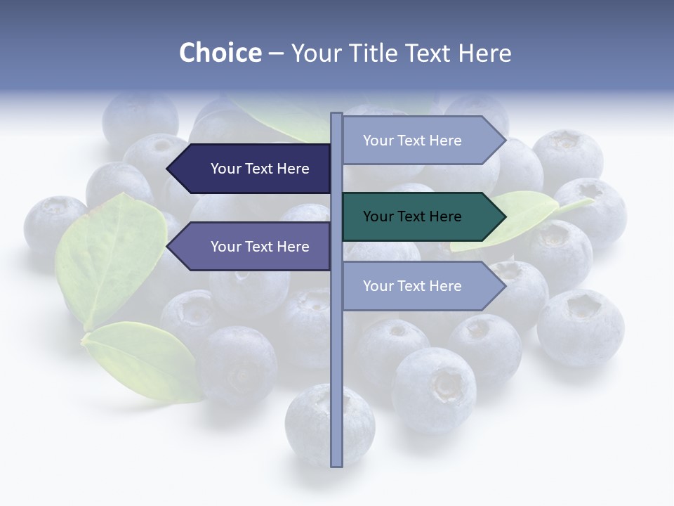 Blue Berry PowerPoint Template