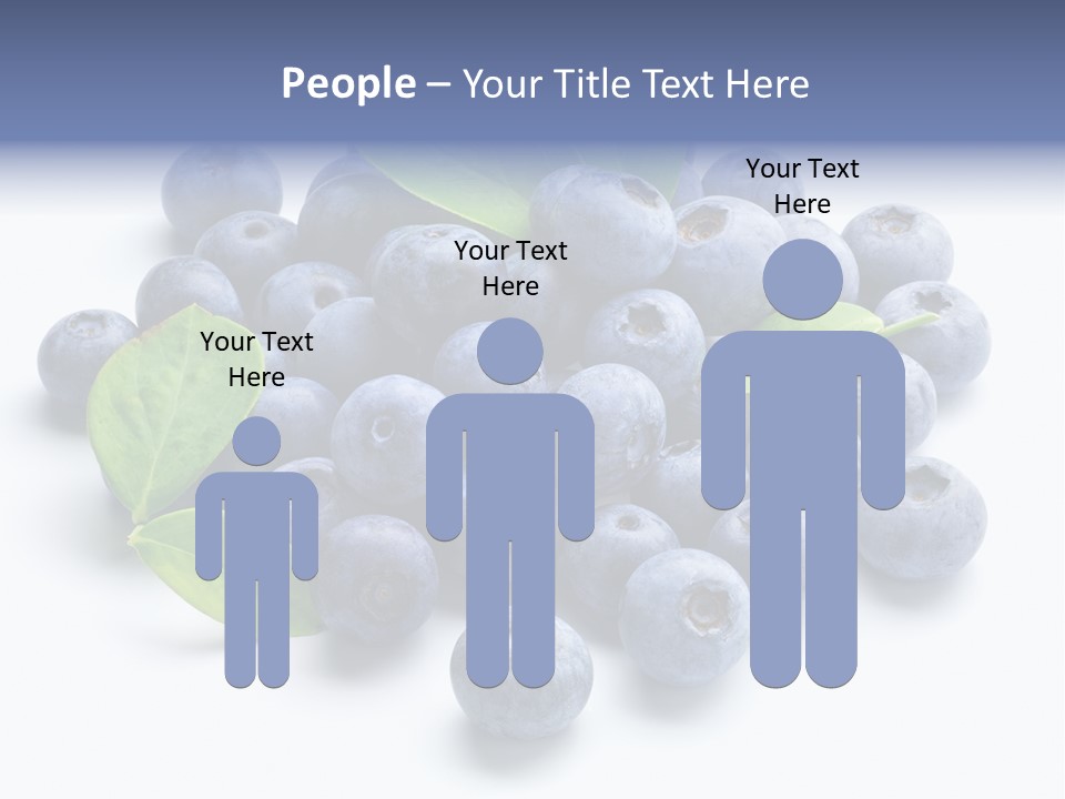 Blue Berry PowerPoint Template