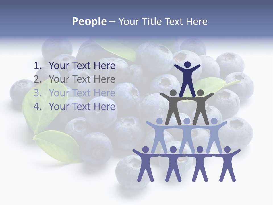 Blue Berry PowerPoint Template