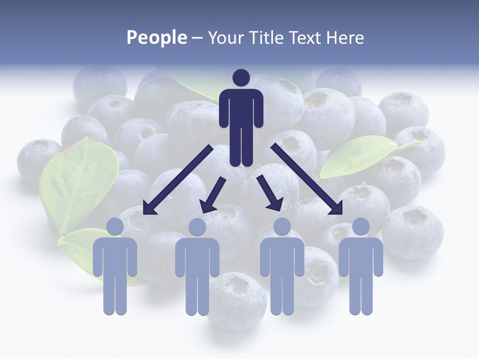 Blue Berry PowerPoint Template