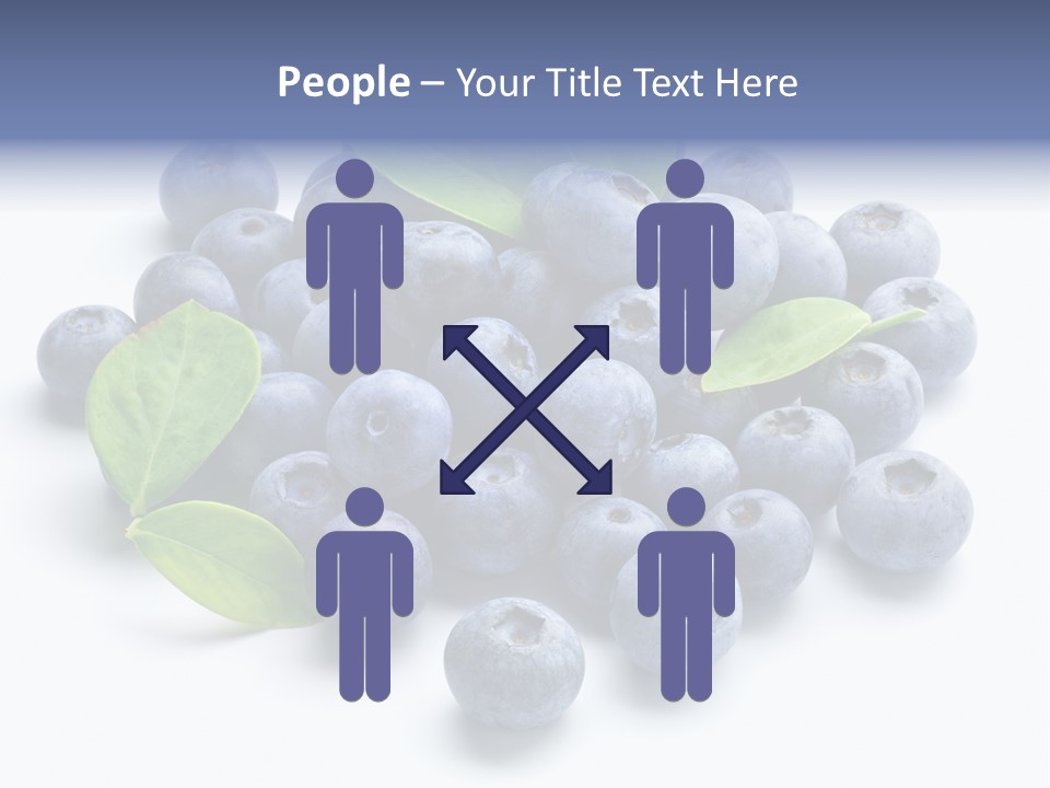 Blue Berry PowerPoint Template