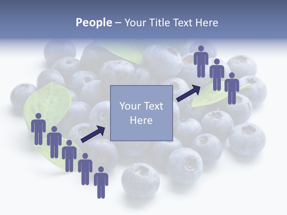 Blue Berry PowerPoint Template