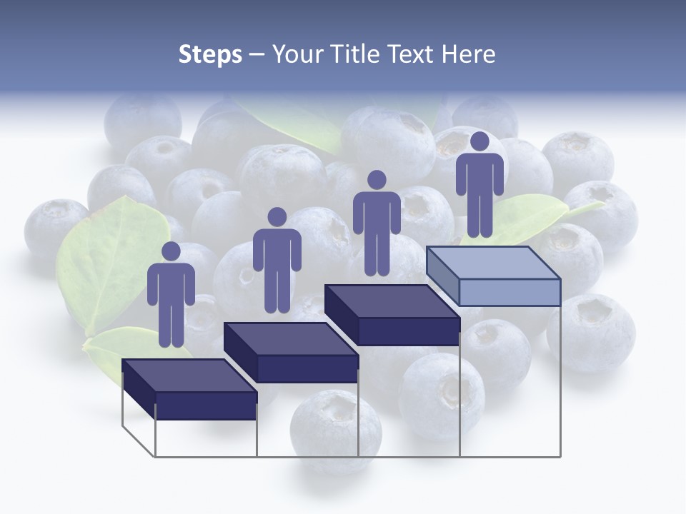 Blue Berry PowerPoint Template