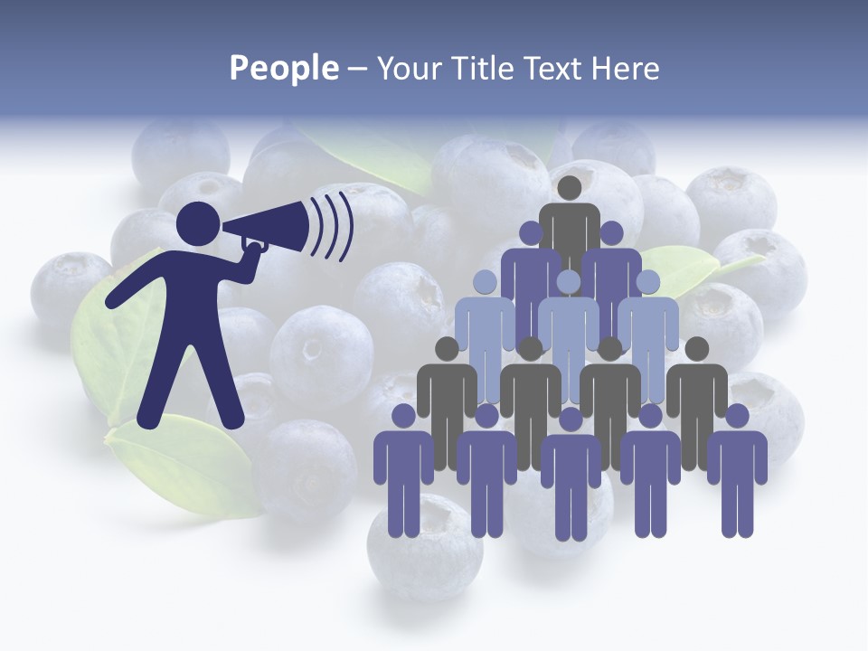 Blue Berry PowerPoint Template
