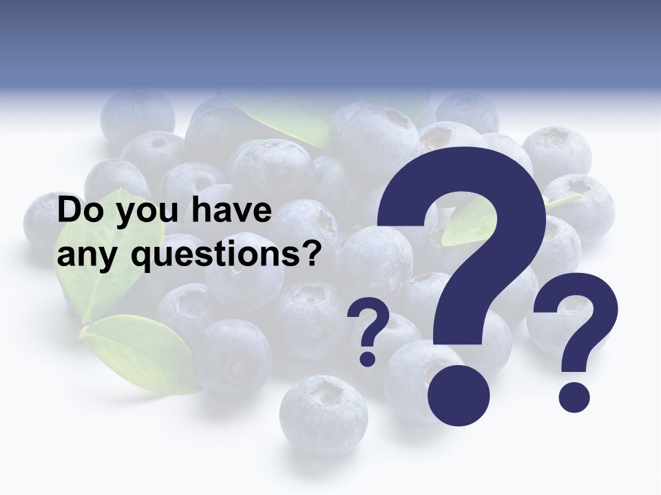 Blue Berry PowerPoint Template