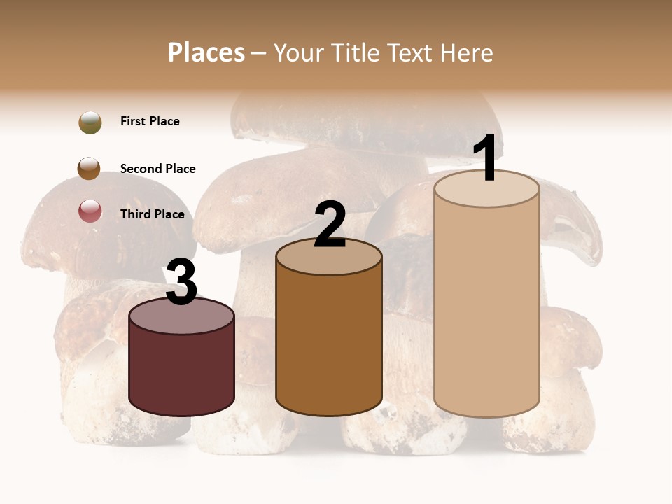 Funghi Porcini PowerPoint Template