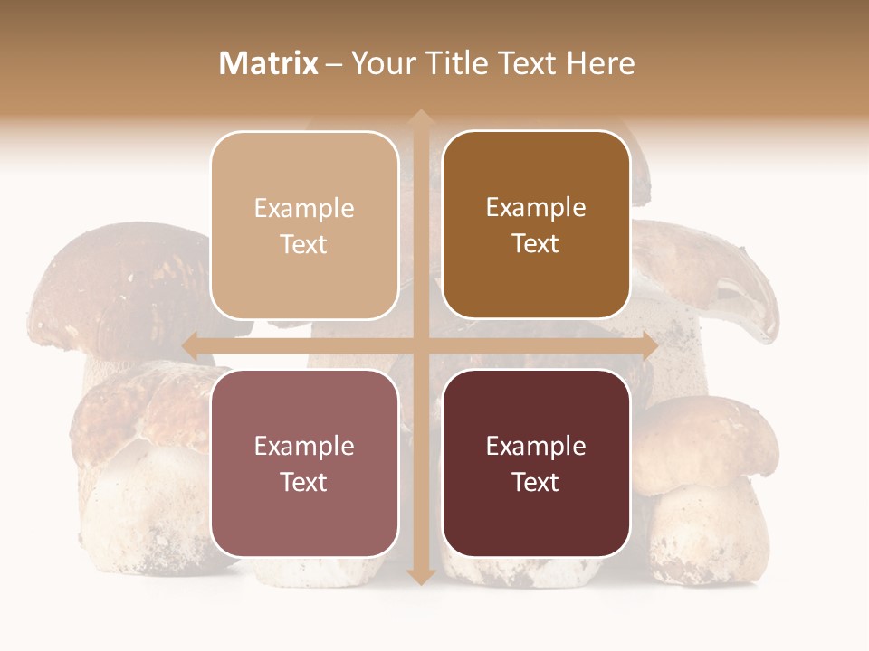 Funghi Porcini PowerPoint Template