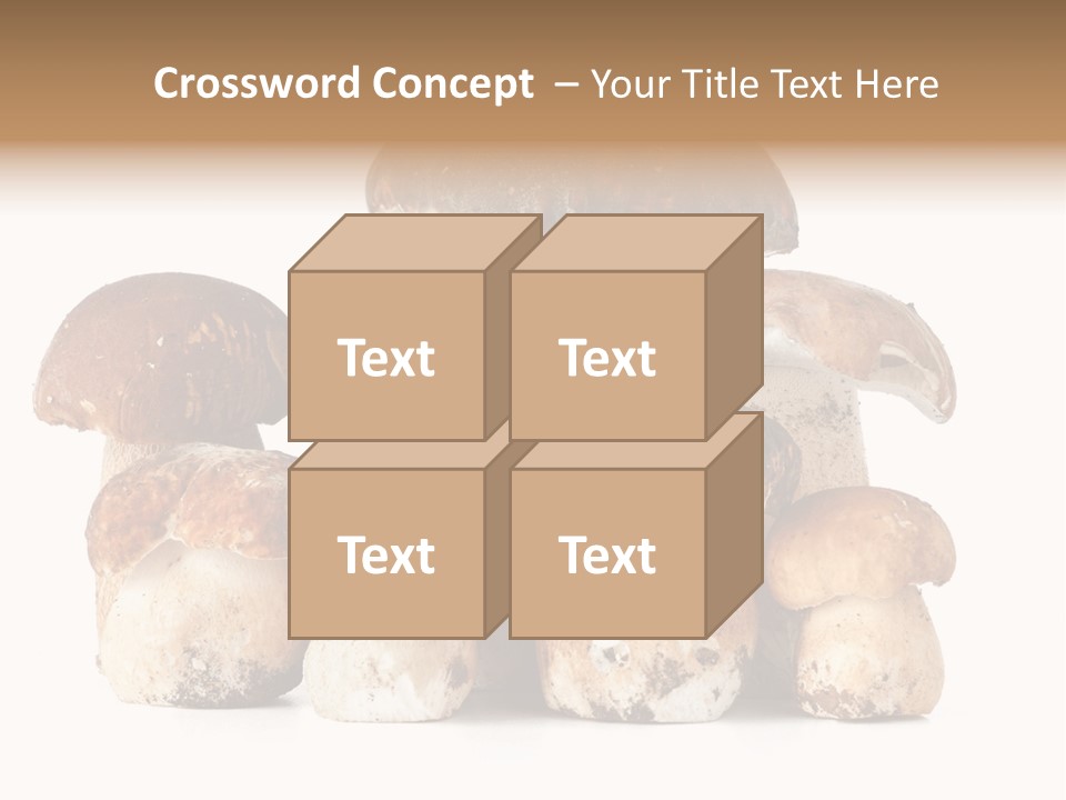 Funghi Porcini PowerPoint Template