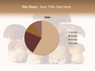 Funghi Porcini PowerPoint Template