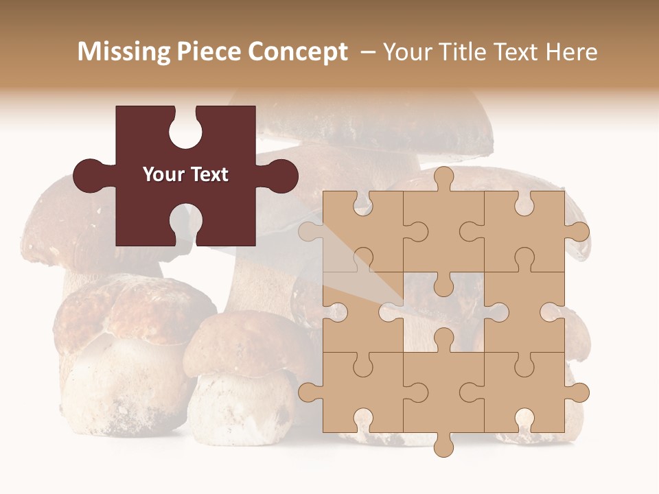 Funghi Porcini PowerPoint Template