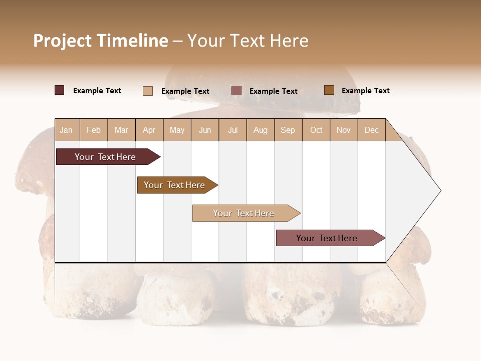 Funghi Porcini PowerPoint Template