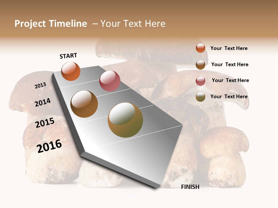 Funghi Porcini PowerPoint Template