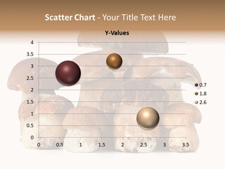 Funghi Porcini PowerPoint Template