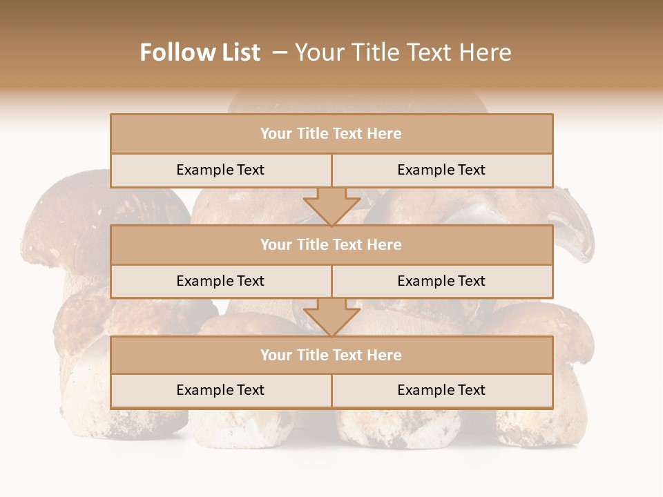 Funghi Porcini PowerPoint Template