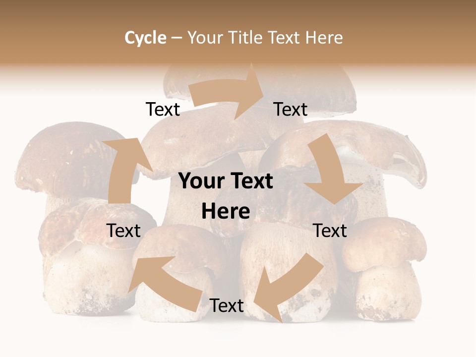 Funghi Porcini PowerPoint Template