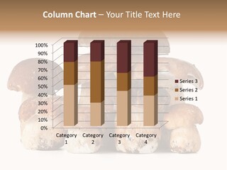 Funghi Porcini PowerPoint Template