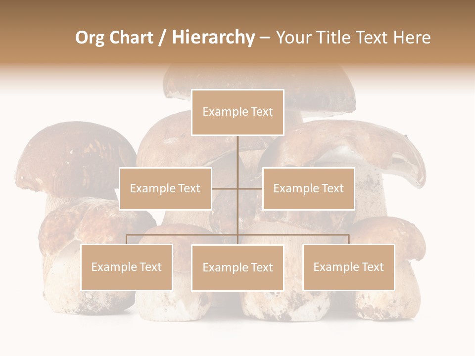 Funghi Porcini PowerPoint Template