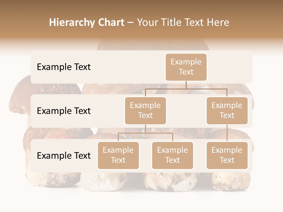 Funghi Porcini PowerPoint Template