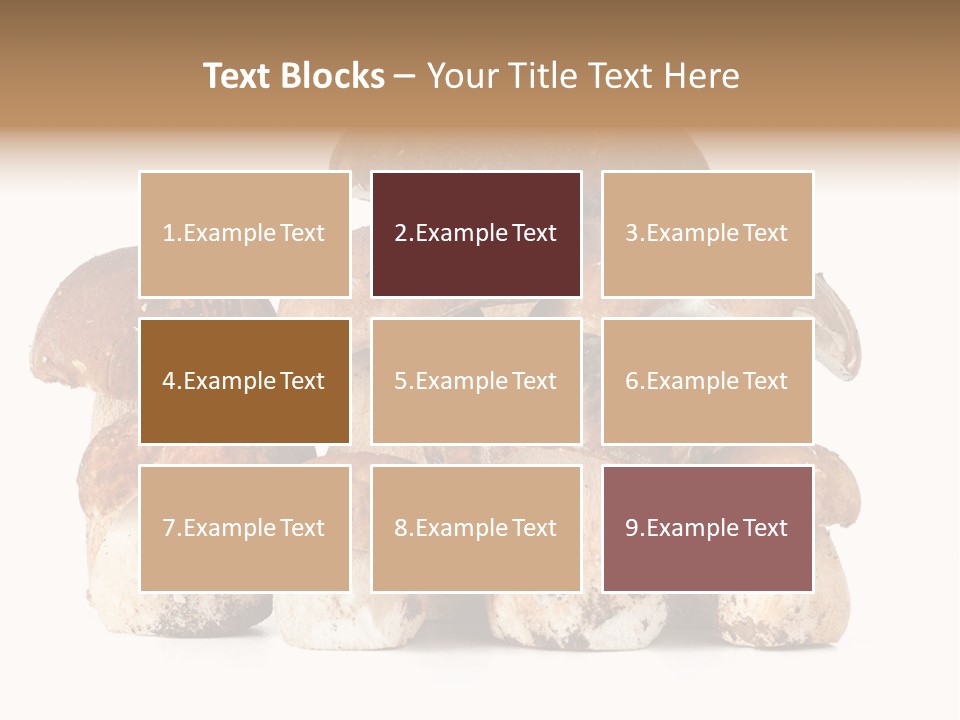 Funghi Porcini PowerPoint Template