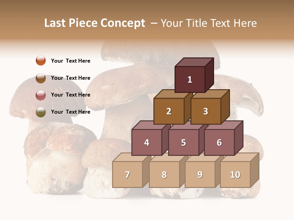 Funghi Porcini PowerPoint Template