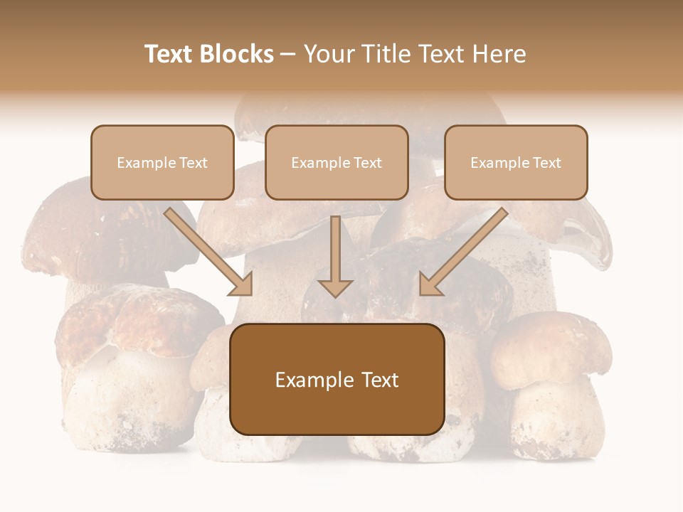 Funghi Porcini PowerPoint Template