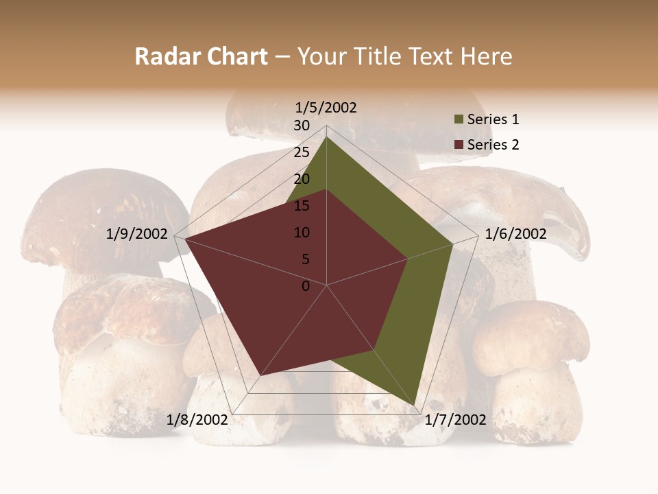 Funghi Porcini PowerPoint Template