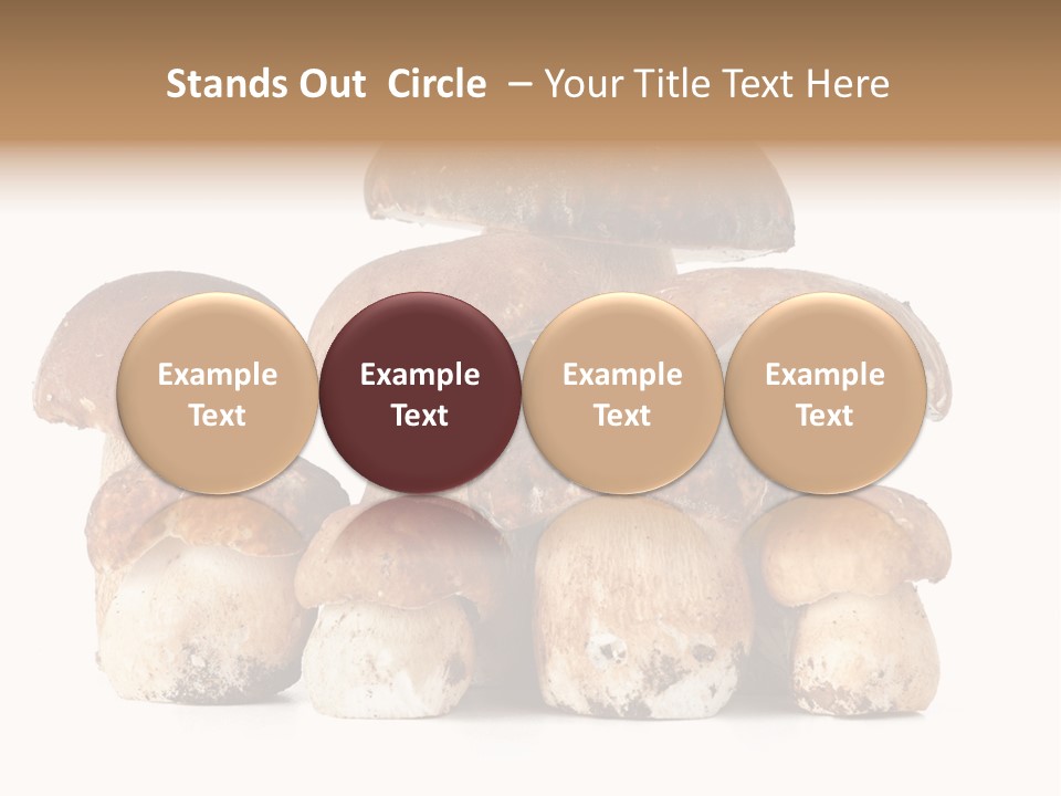 Funghi Porcini PowerPoint Template