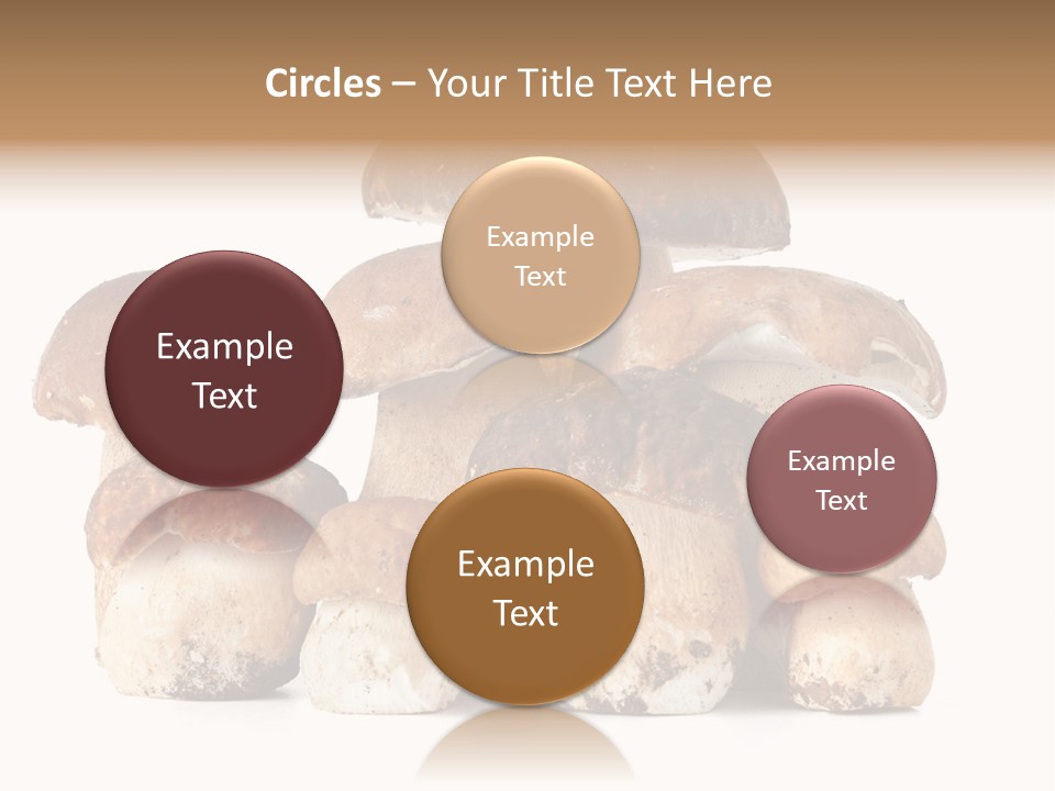 Funghi Porcini PowerPoint Template