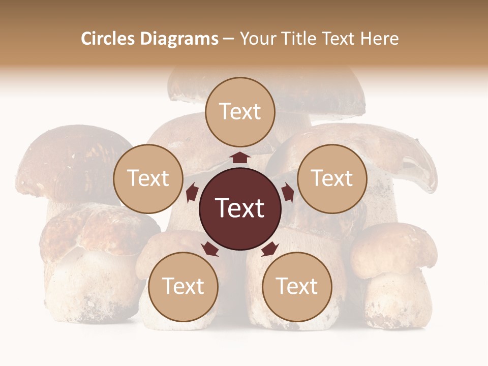 Funghi Porcini PowerPoint Template