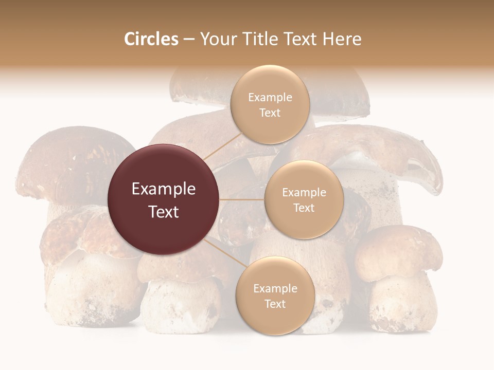 Funghi Porcini PowerPoint Template