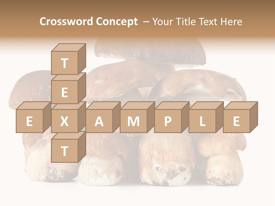 Funghi Porcini PowerPoint Template