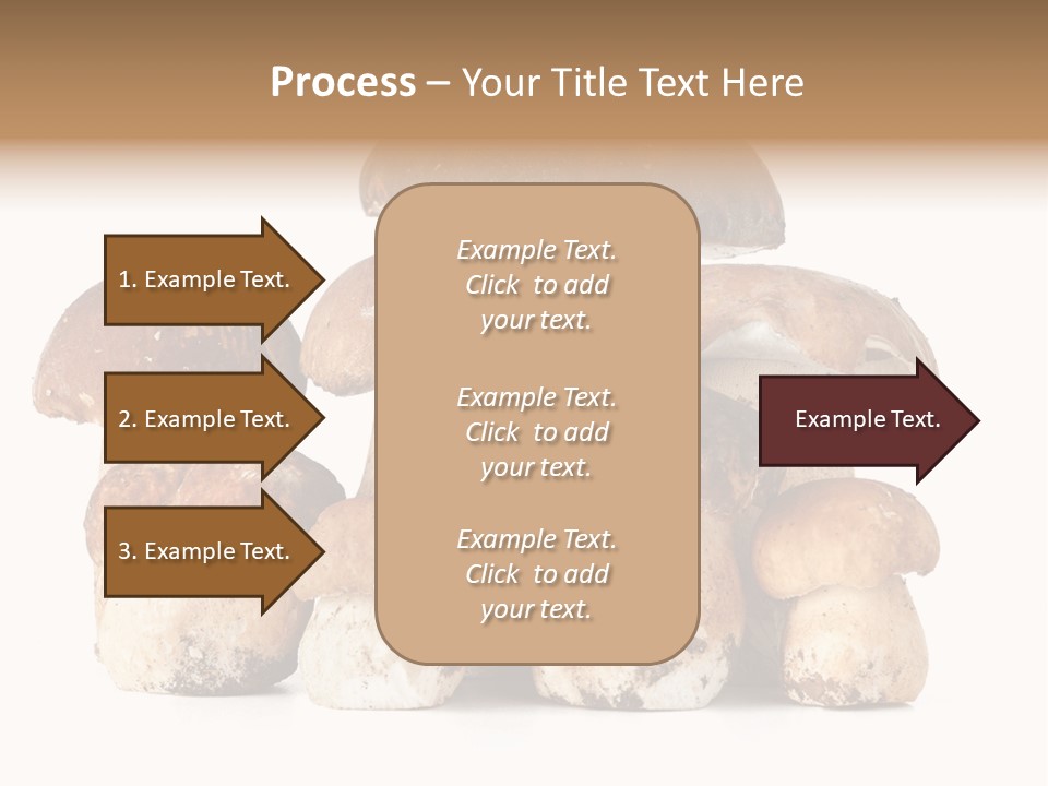 Funghi Porcini PowerPoint Template