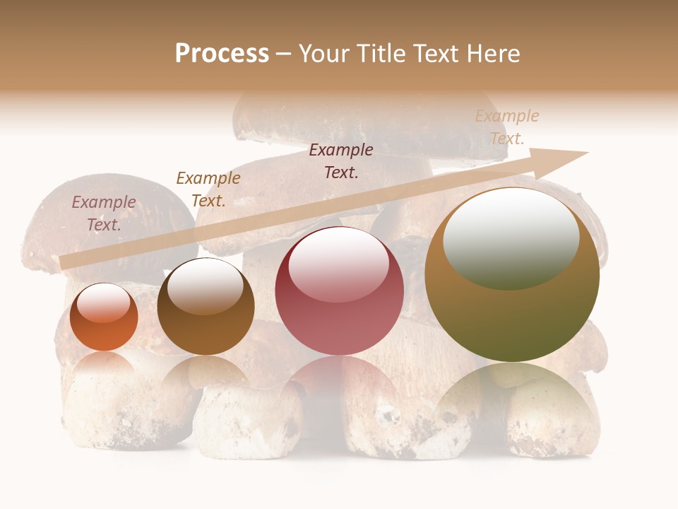 Funghi Porcini PowerPoint Template
