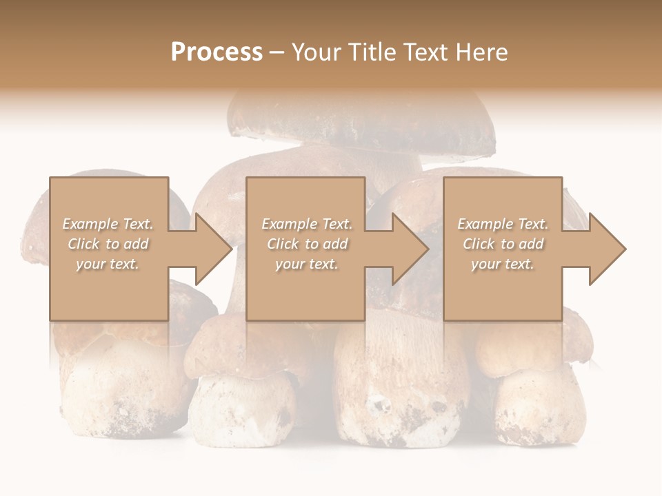 Funghi Porcini PowerPoint Template