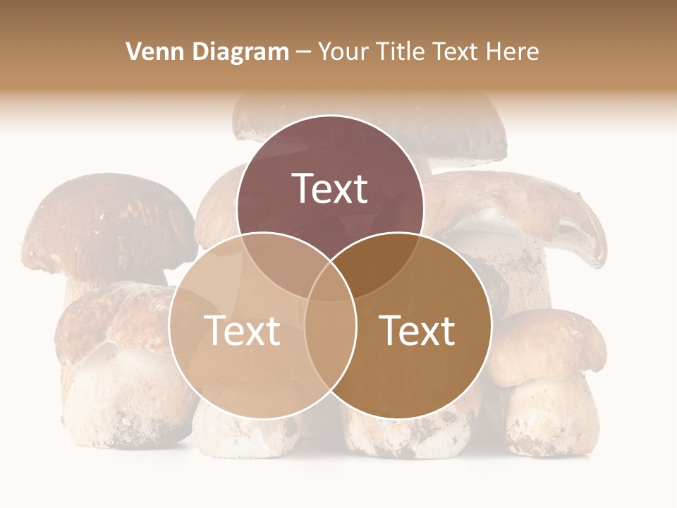 Funghi Porcini PowerPoint Template