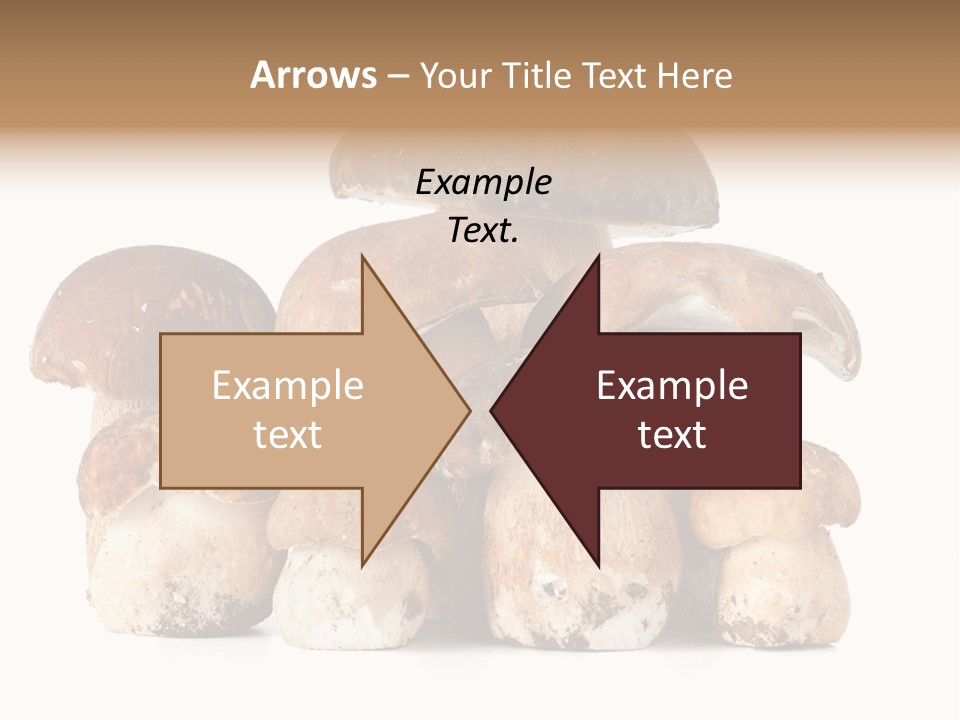 Funghi Porcini PowerPoint Template