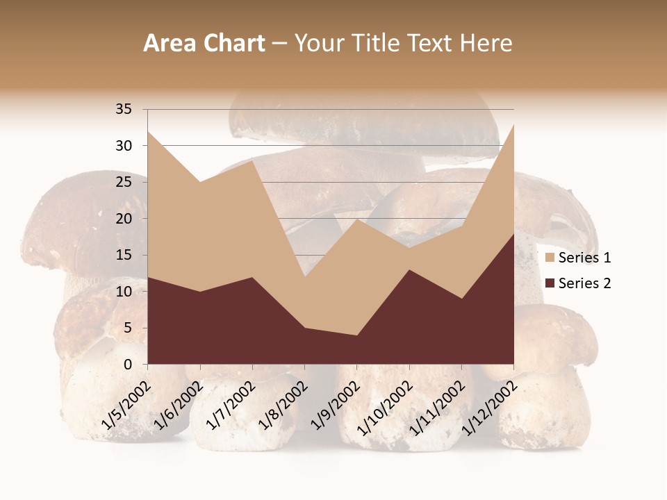 Funghi Porcini PowerPoint Template