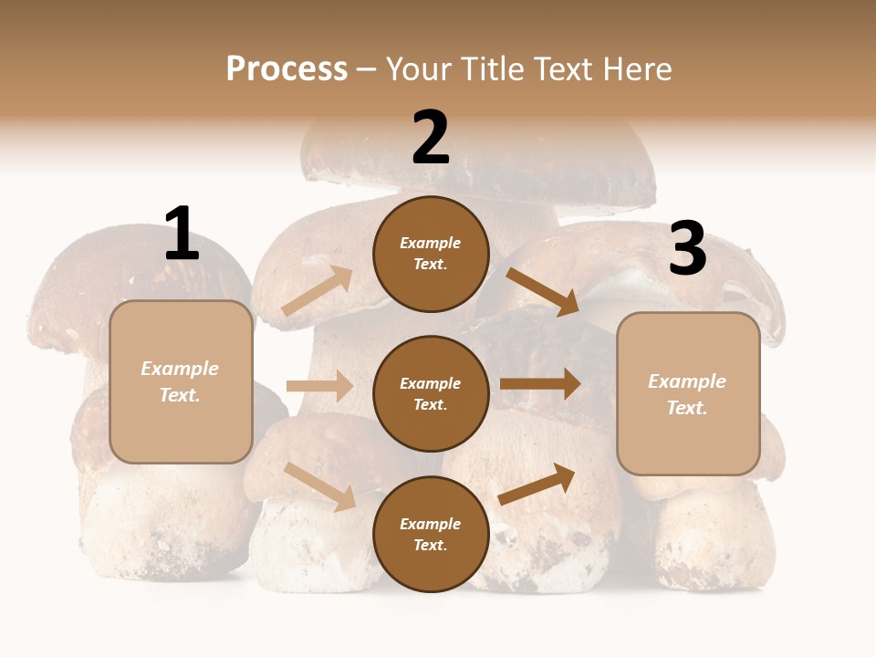 Funghi Porcini PowerPoint Template