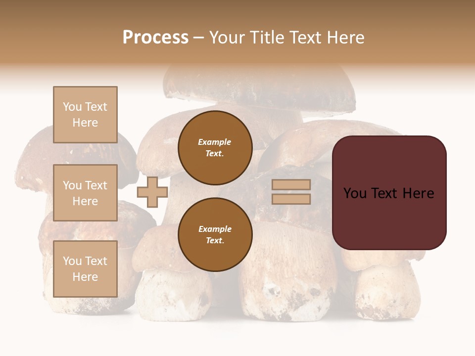 Funghi Porcini PowerPoint Template