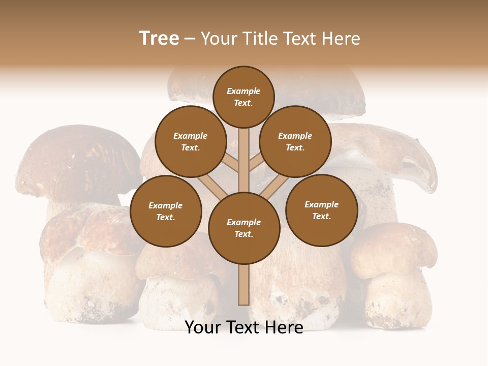 Funghi Porcini PowerPoint Template